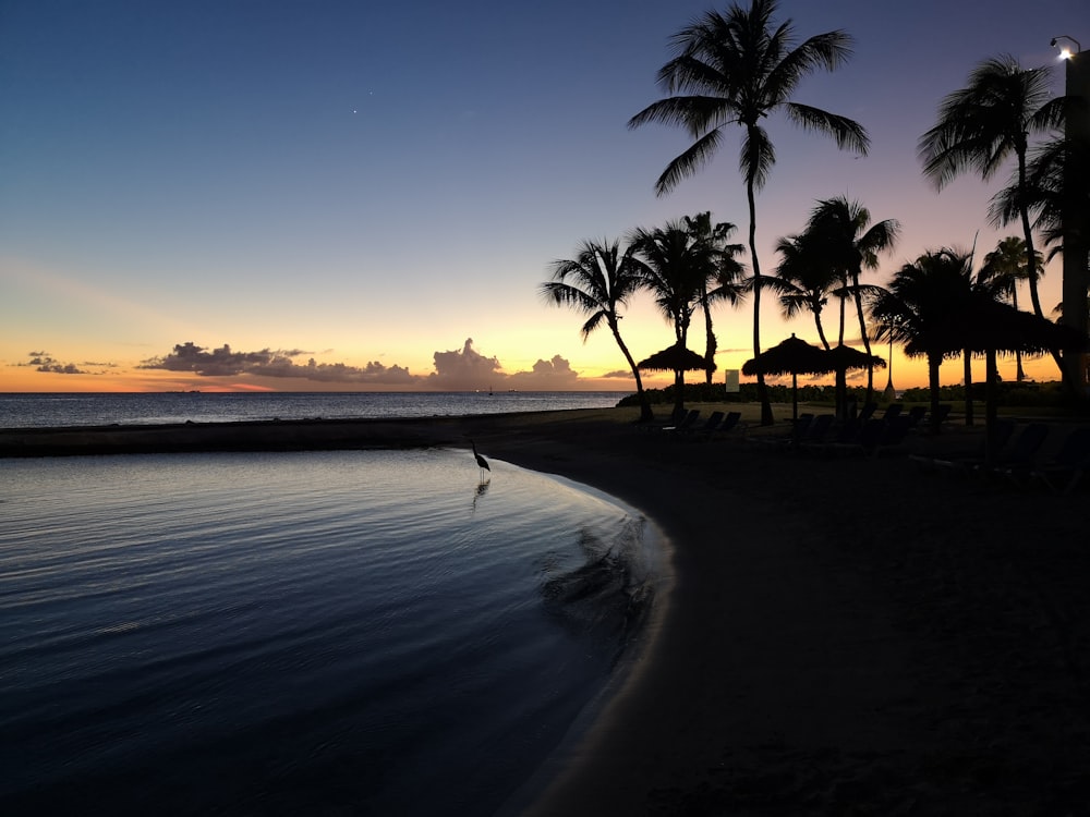 a beach with palm trees and a sunset