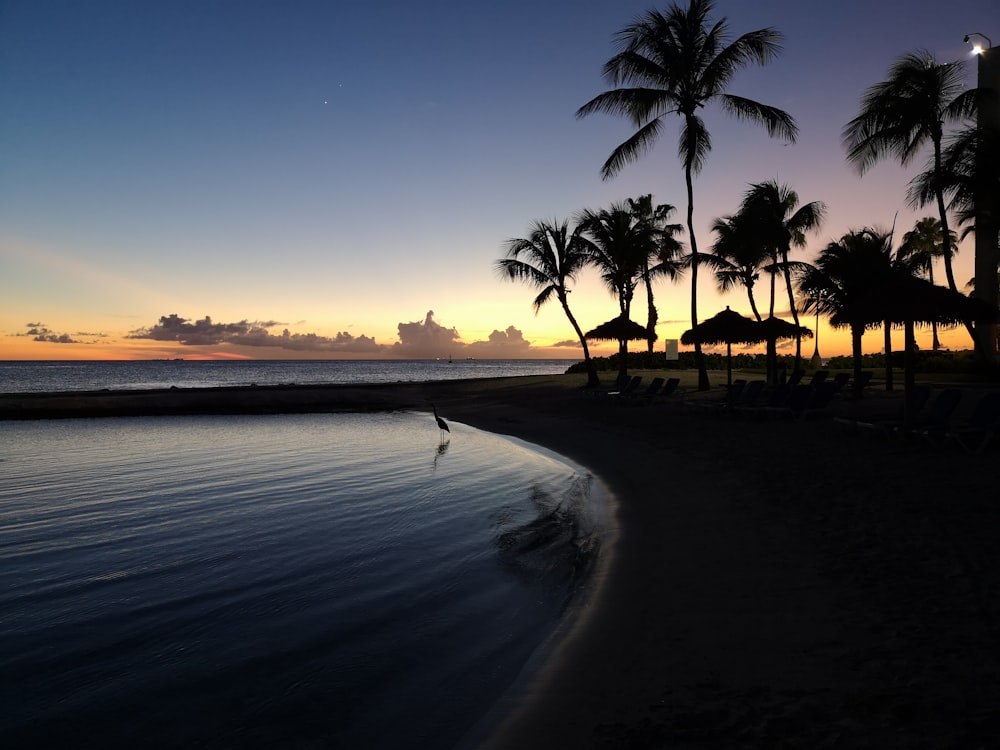 Ein Strand mit Palmen und einem Sonnenuntergang
