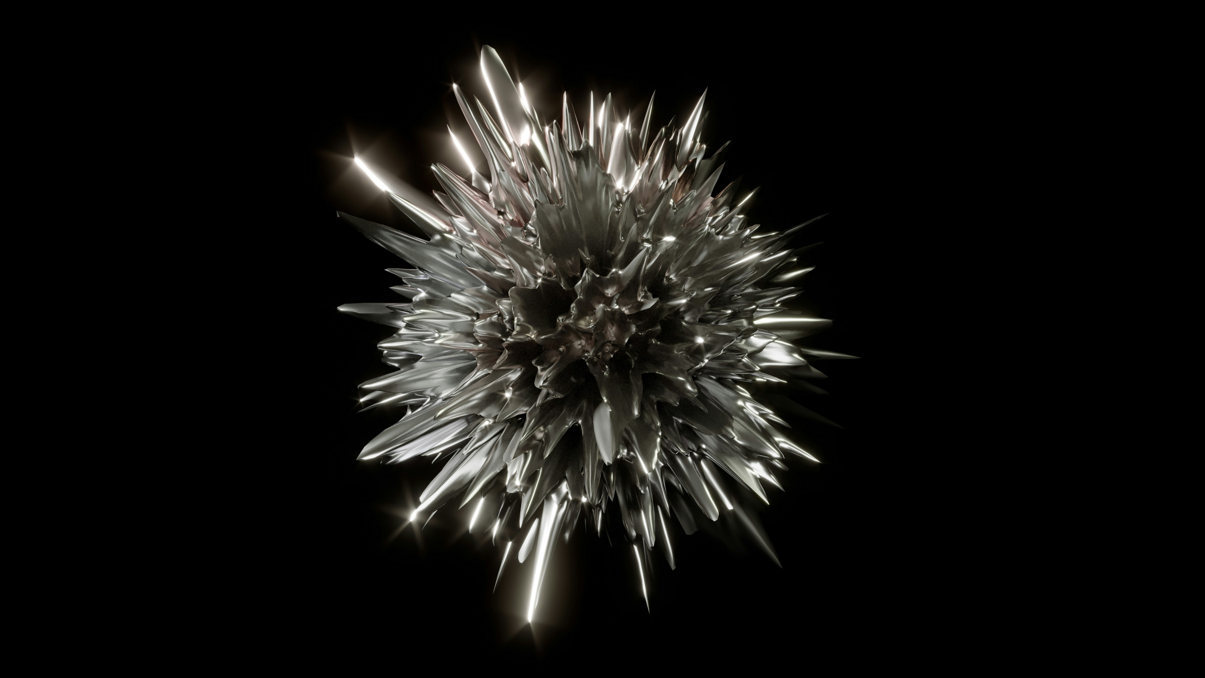 Photo by thekamranzadeh