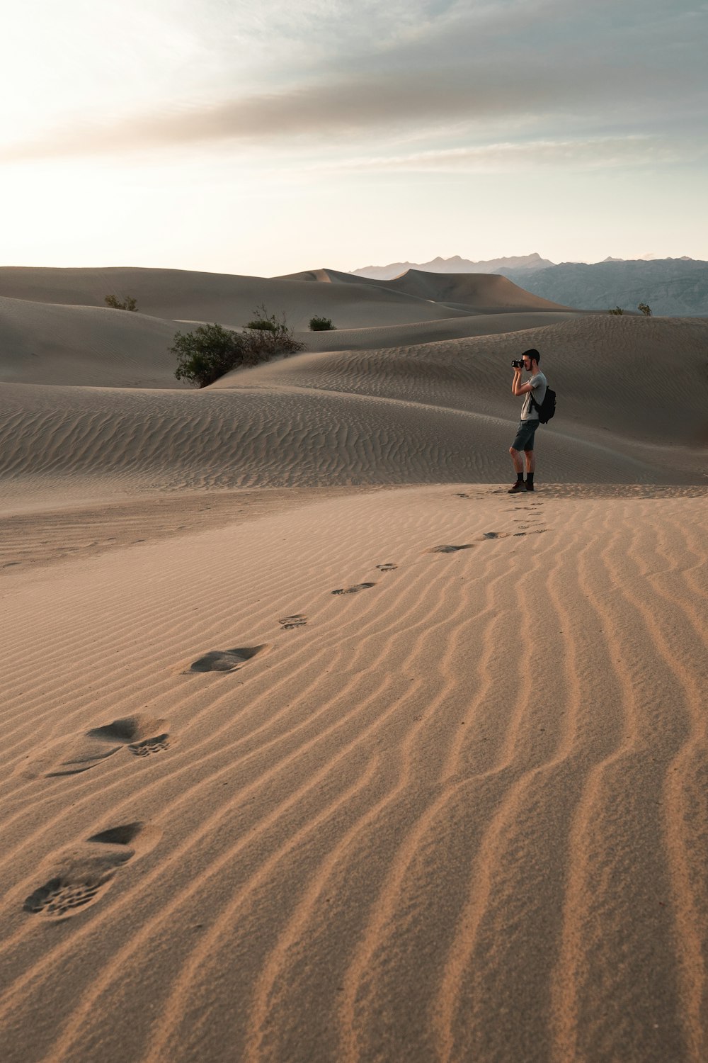 a person standing in a desert