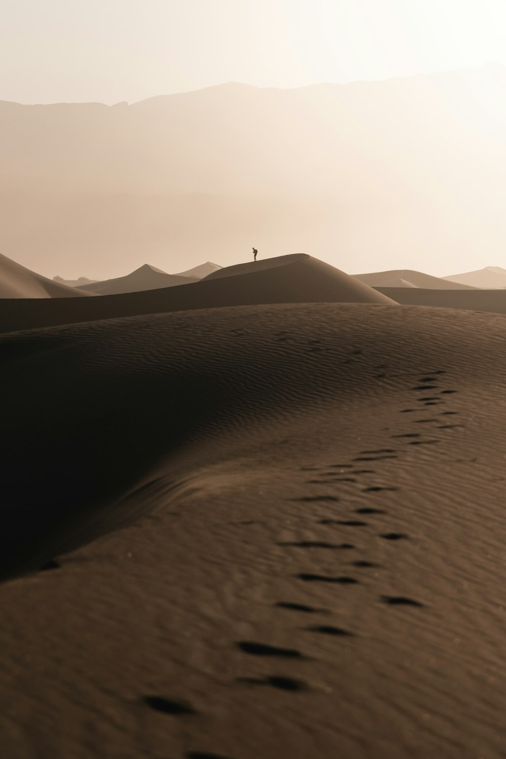 a person standing on a sand dune