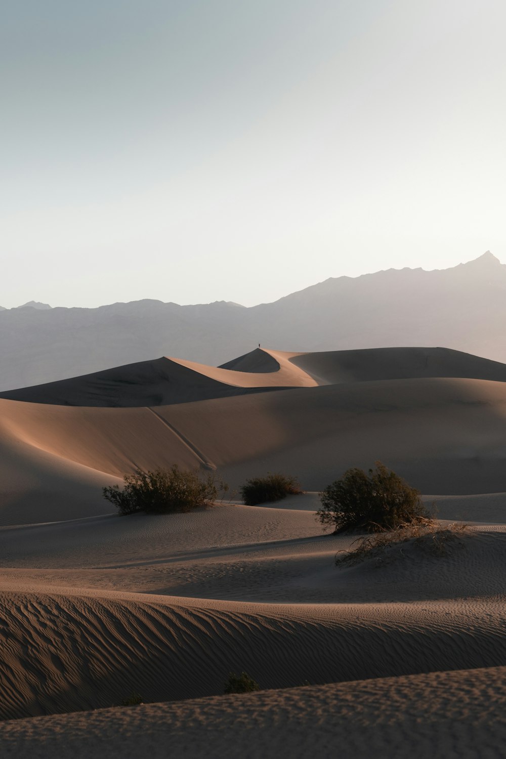 a desert landscape with sand dunes