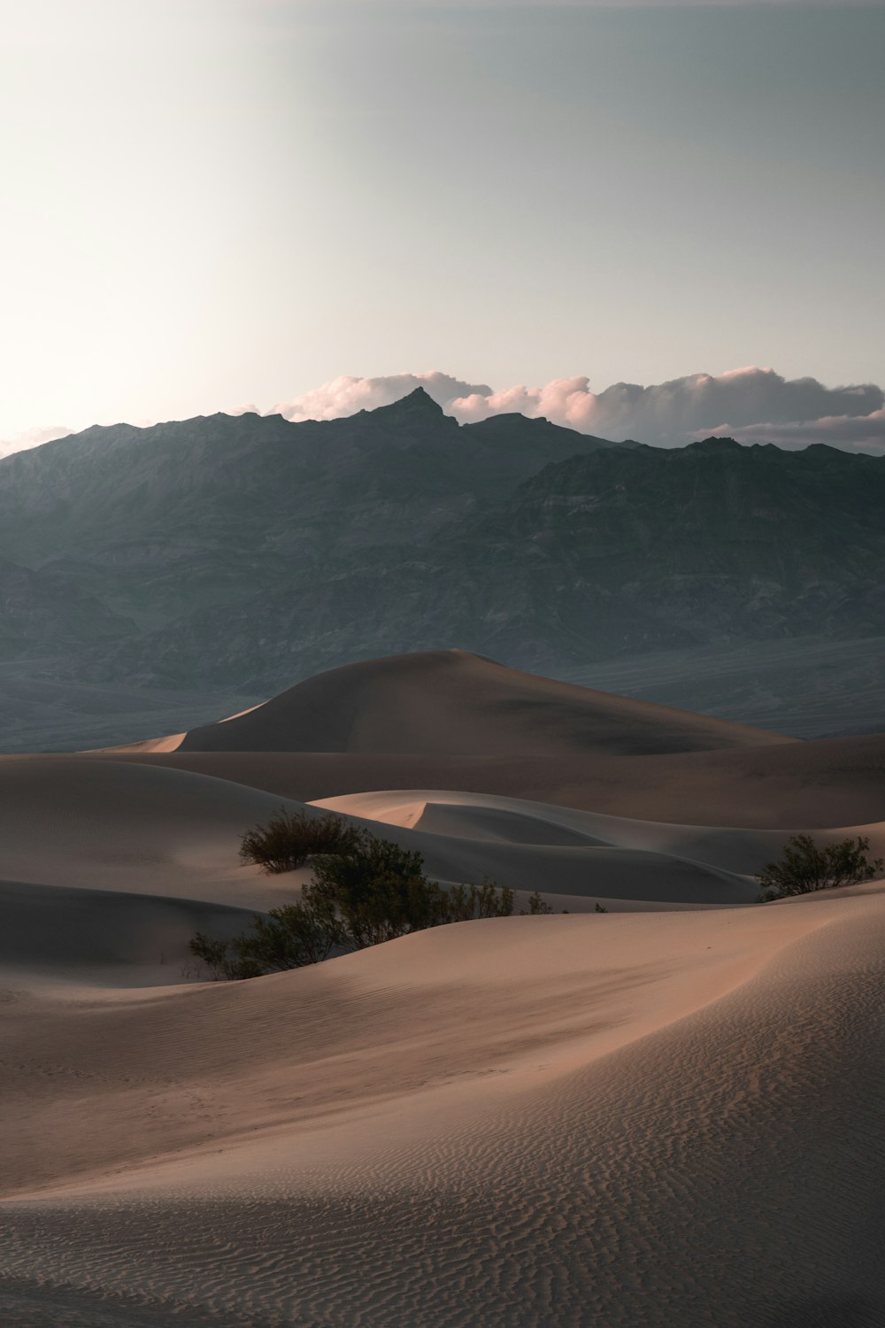 a large desert landscape