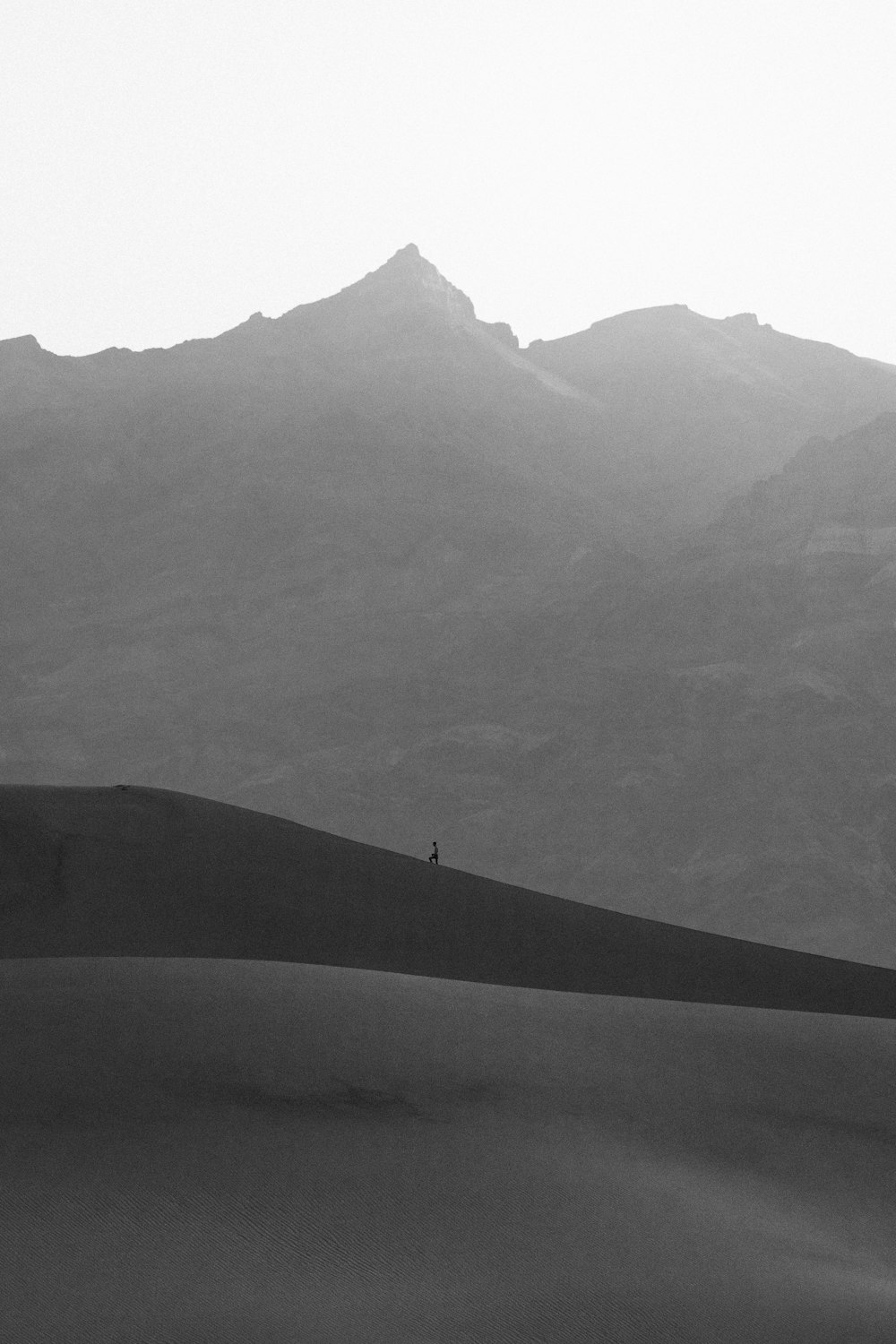 a person standing on a hill