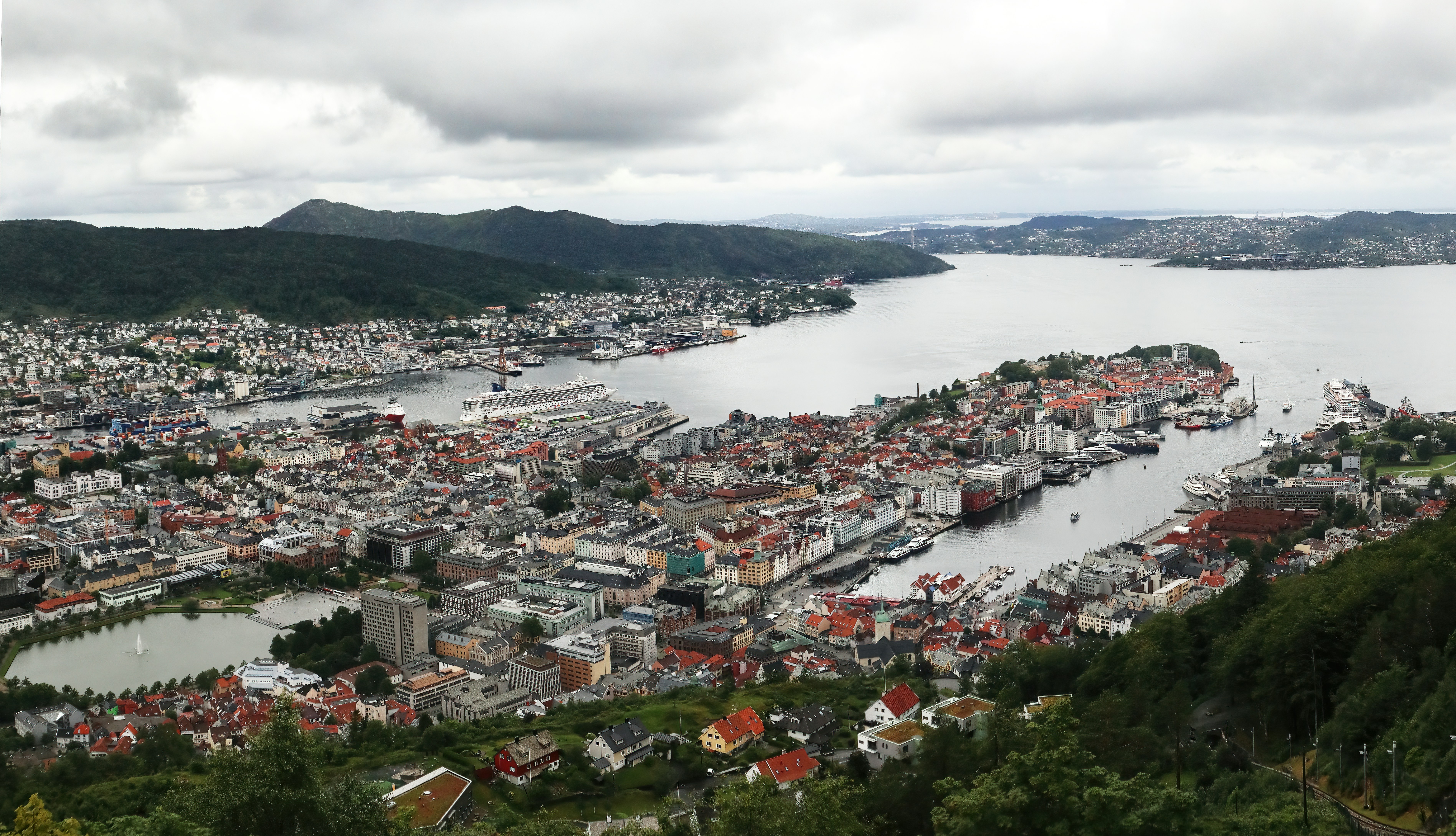 Photo by bullterriere