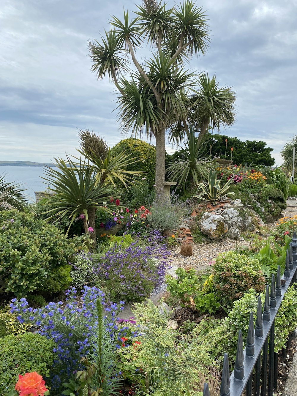a garden with palm trees and flowers