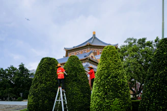 a person on a ladder painting a building