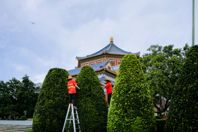 a person on a ladder painting a building