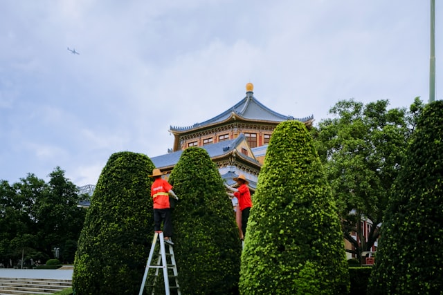 《回到明朝当王爷之杨凌传》唐一仙是谁演的