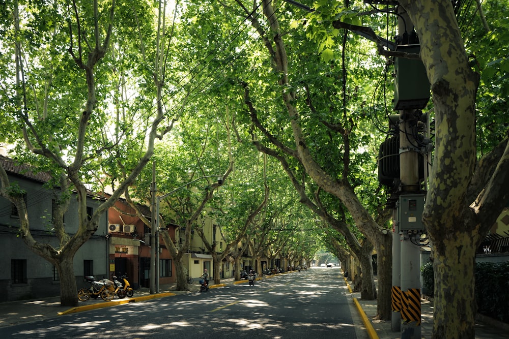 a street with trees on the side