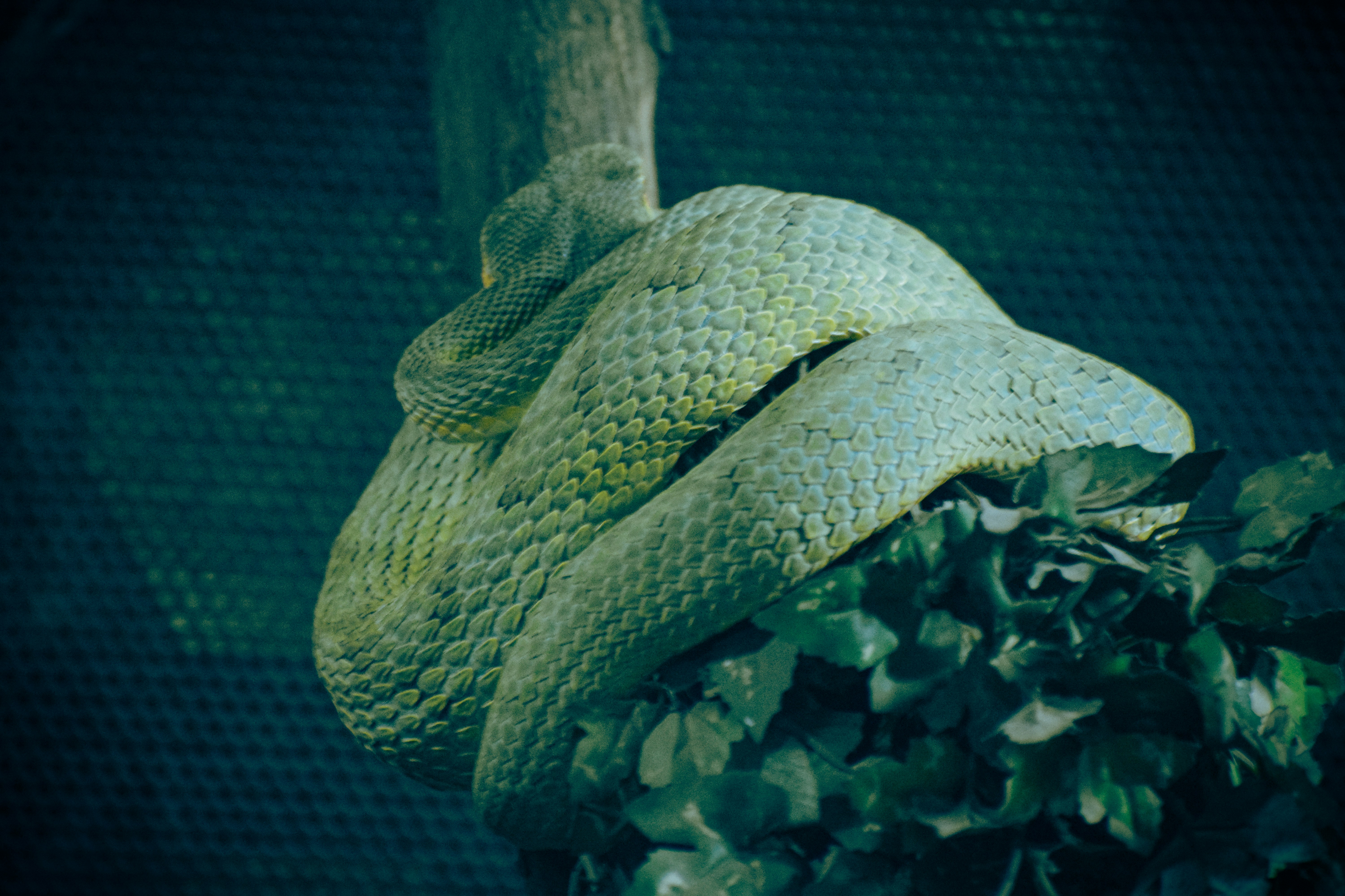 •Shot on Nikon d5300 📸💥🇮🇳