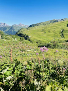 a grassy area with hills in the background