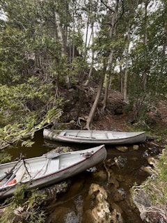 Two canoes are resting on a shallow, rocky section of a creek surrounded by dense trees and greenery. The canoes are gray with red trim and appear to be stationary in calm, shallow water.