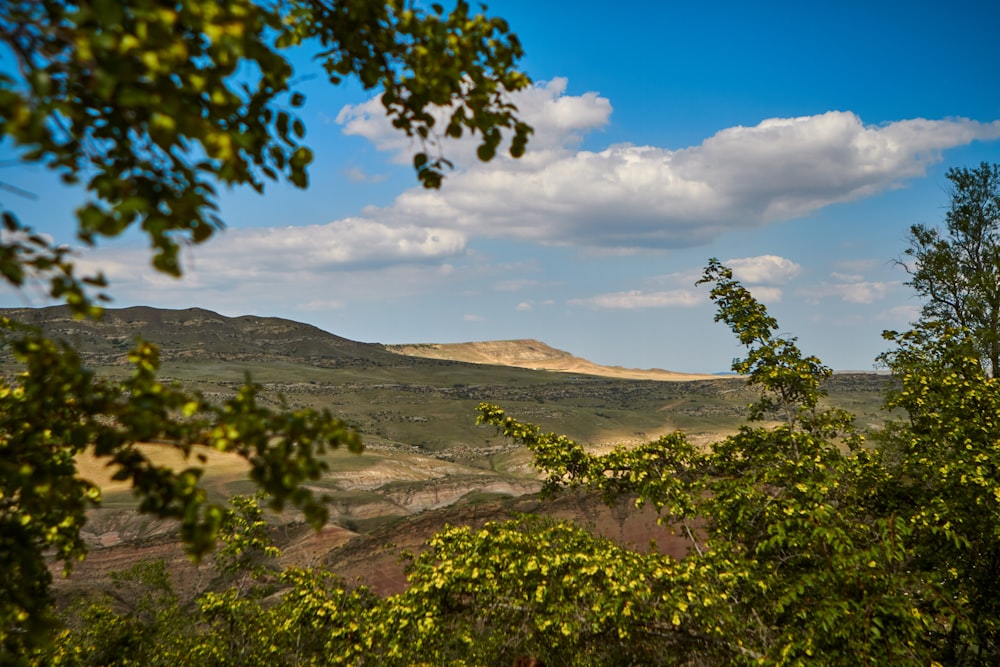 a view of a valley with trees and hills in the background