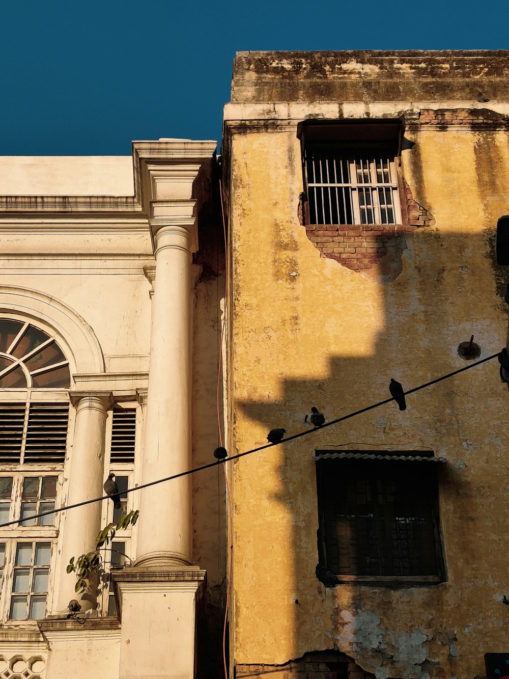 a building with a few birds on the windows