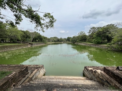 a body of water with trees around it