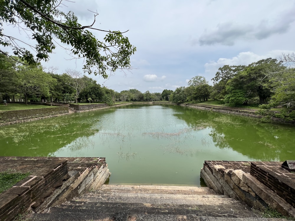 a body of water with trees around it