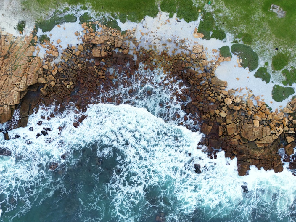 a body of water with rocks and plants around it