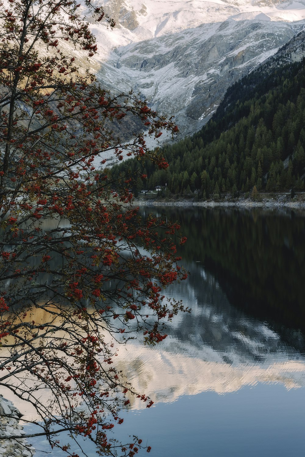 a lake surrounded by trees and mountains