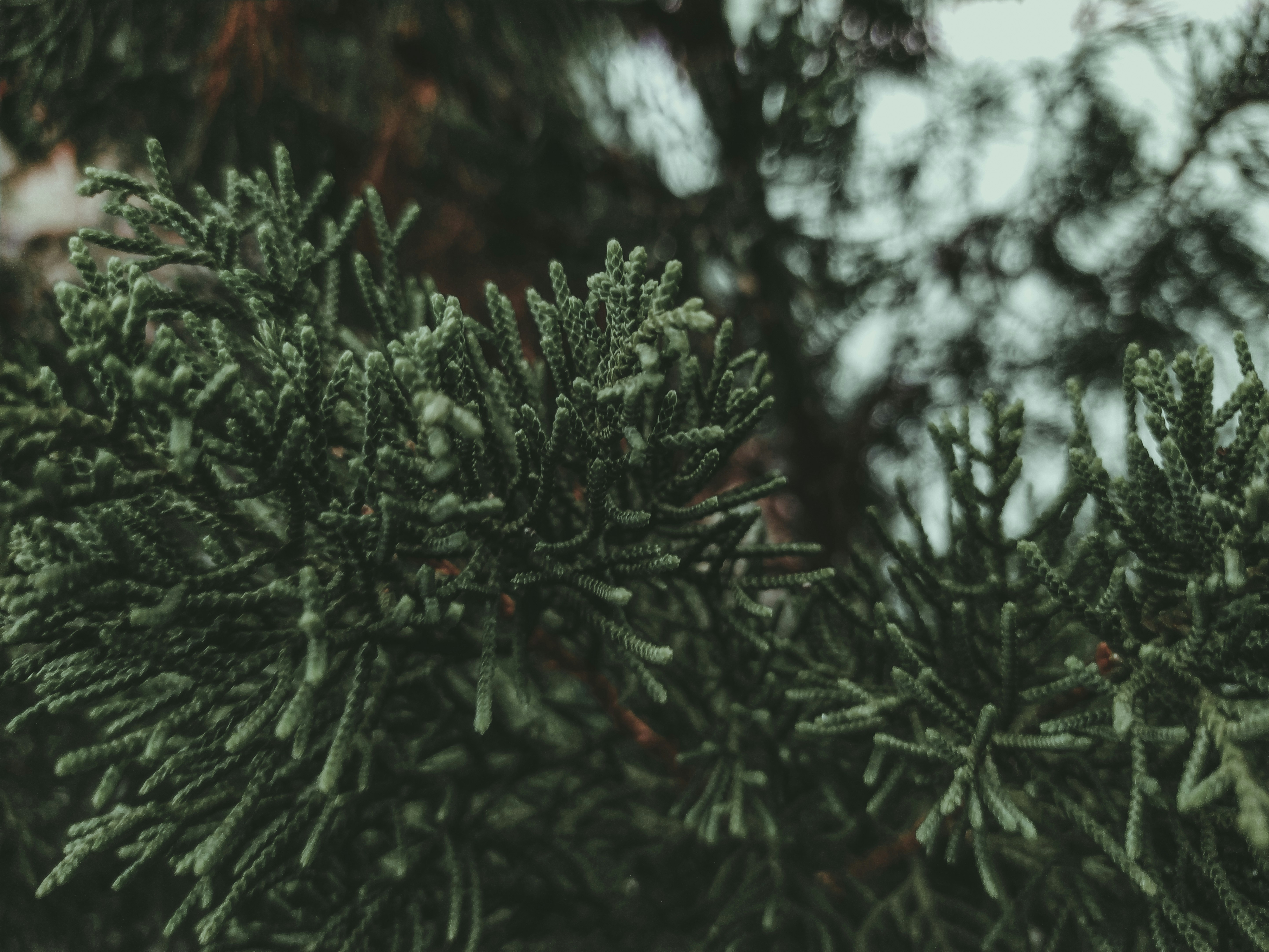 Photo by wrandriyan_