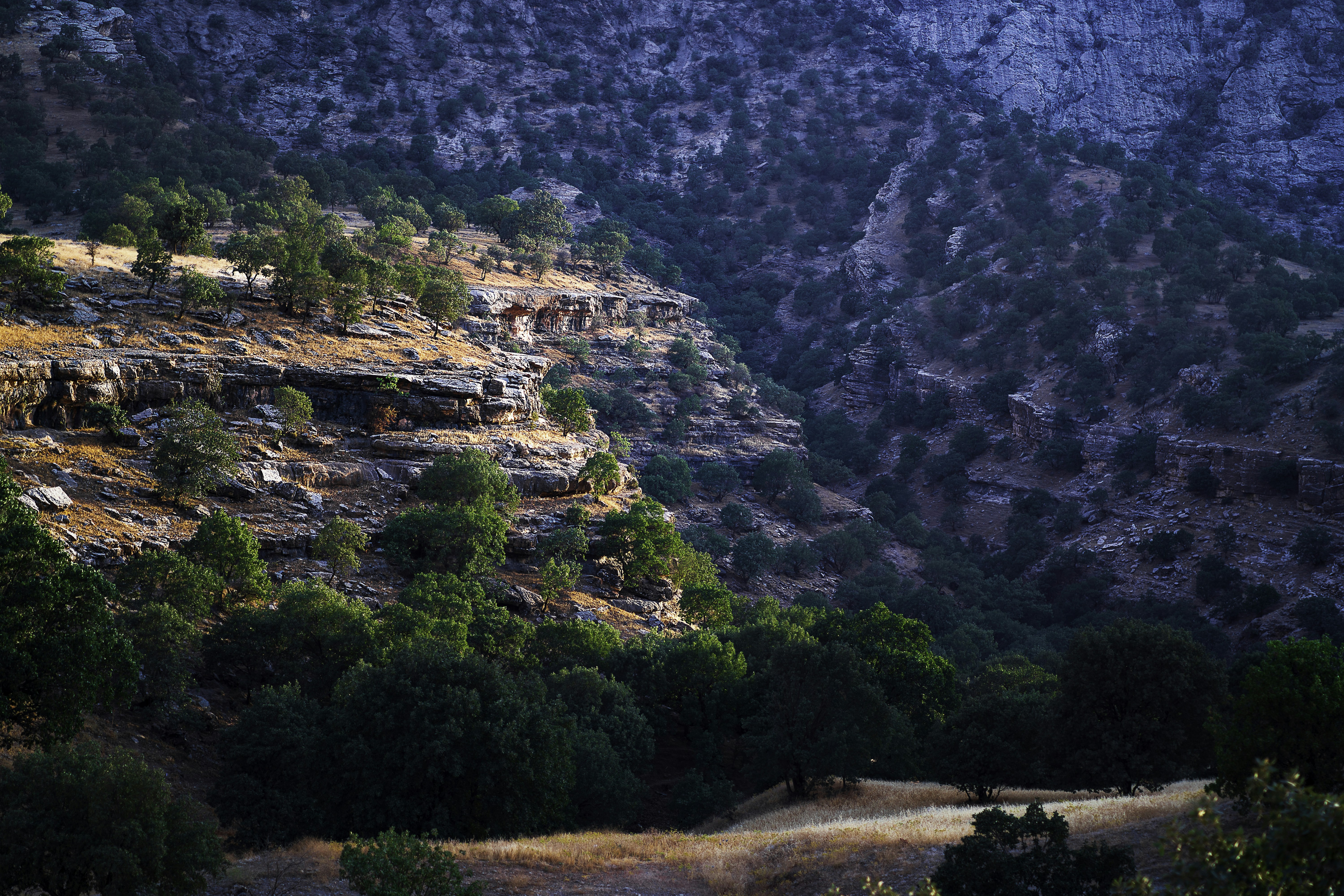 when something went wrong ......