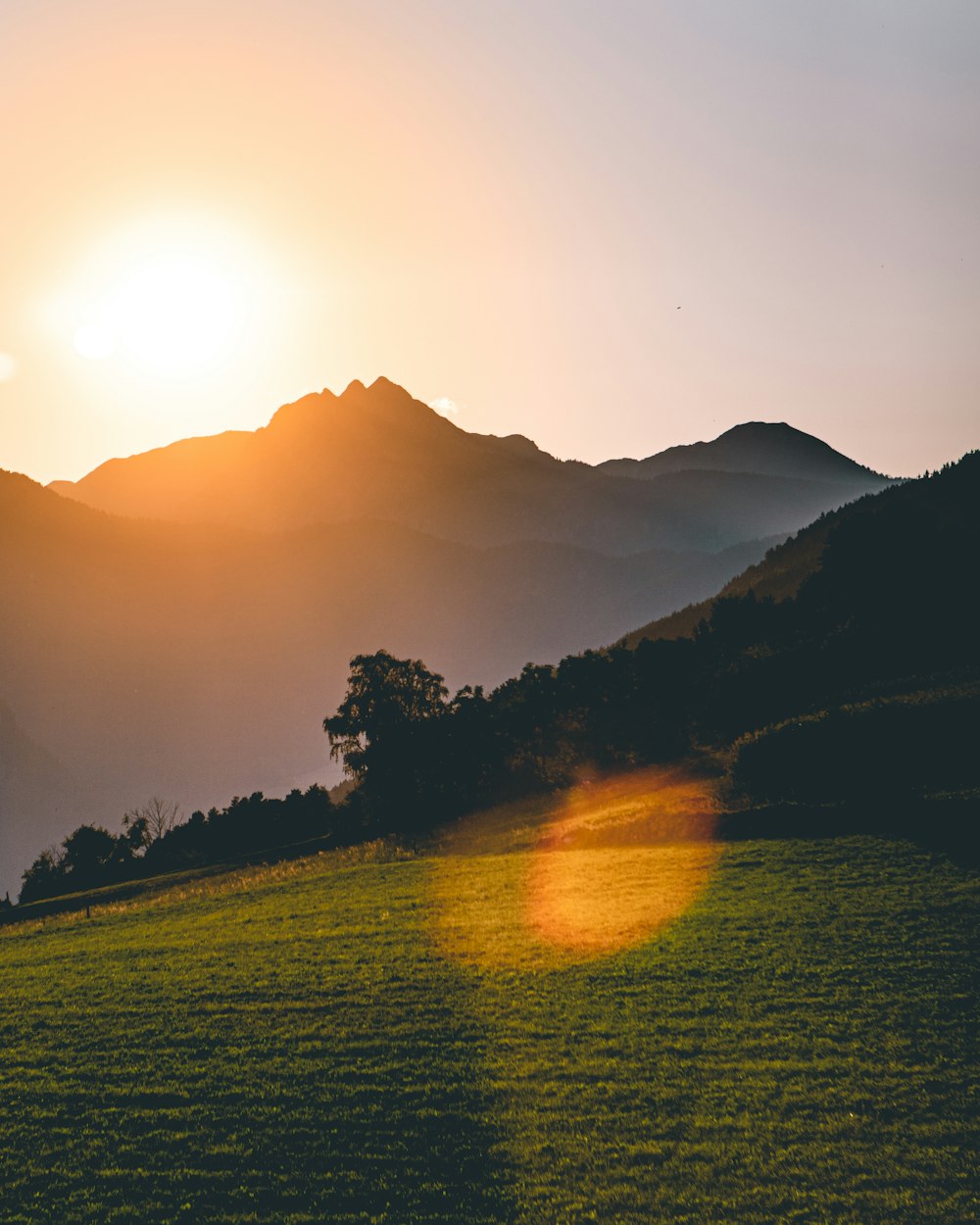 a grassy field with a mountain in the background