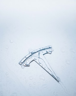 a close-up of a mosquito