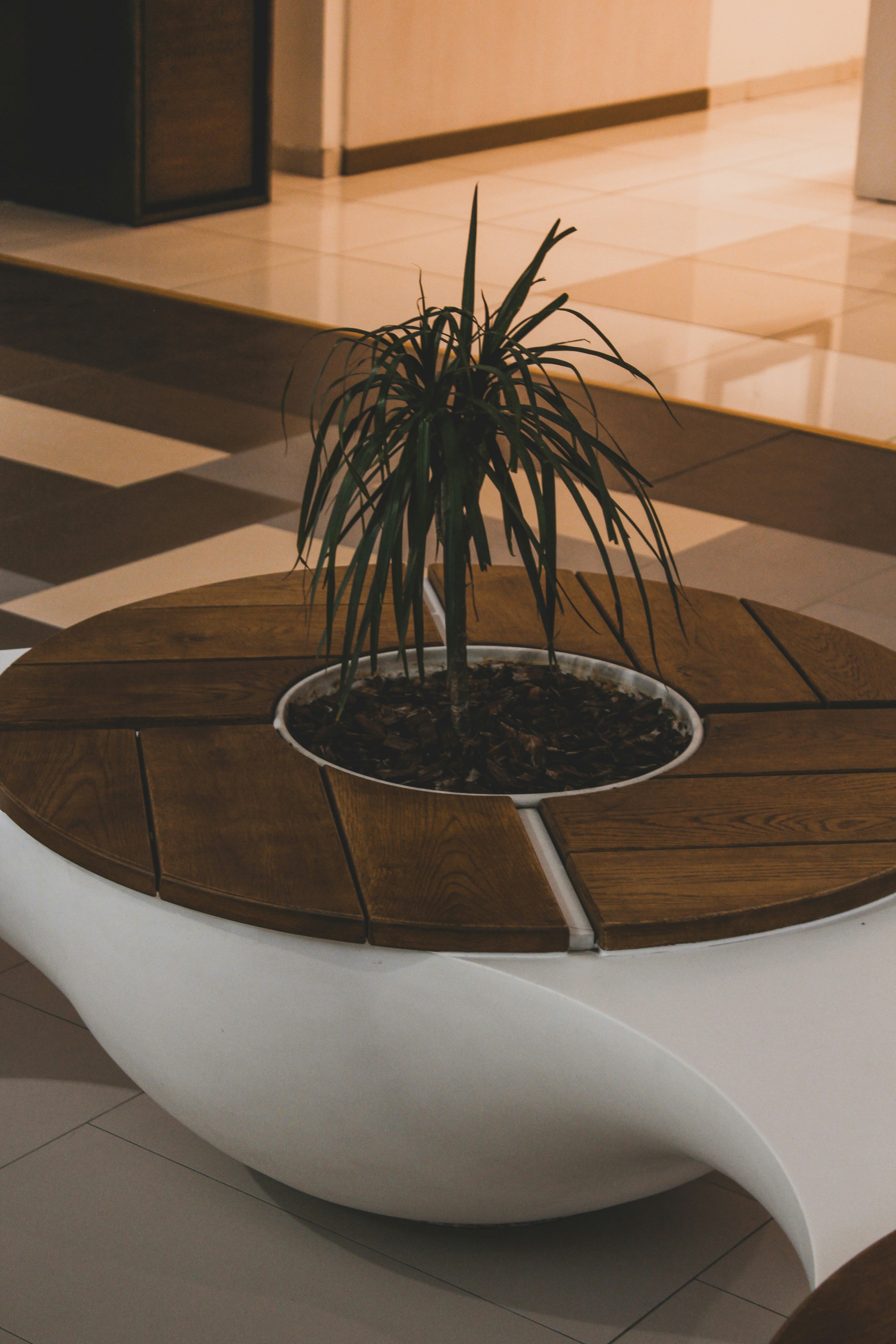 Photo by czapp_arpad