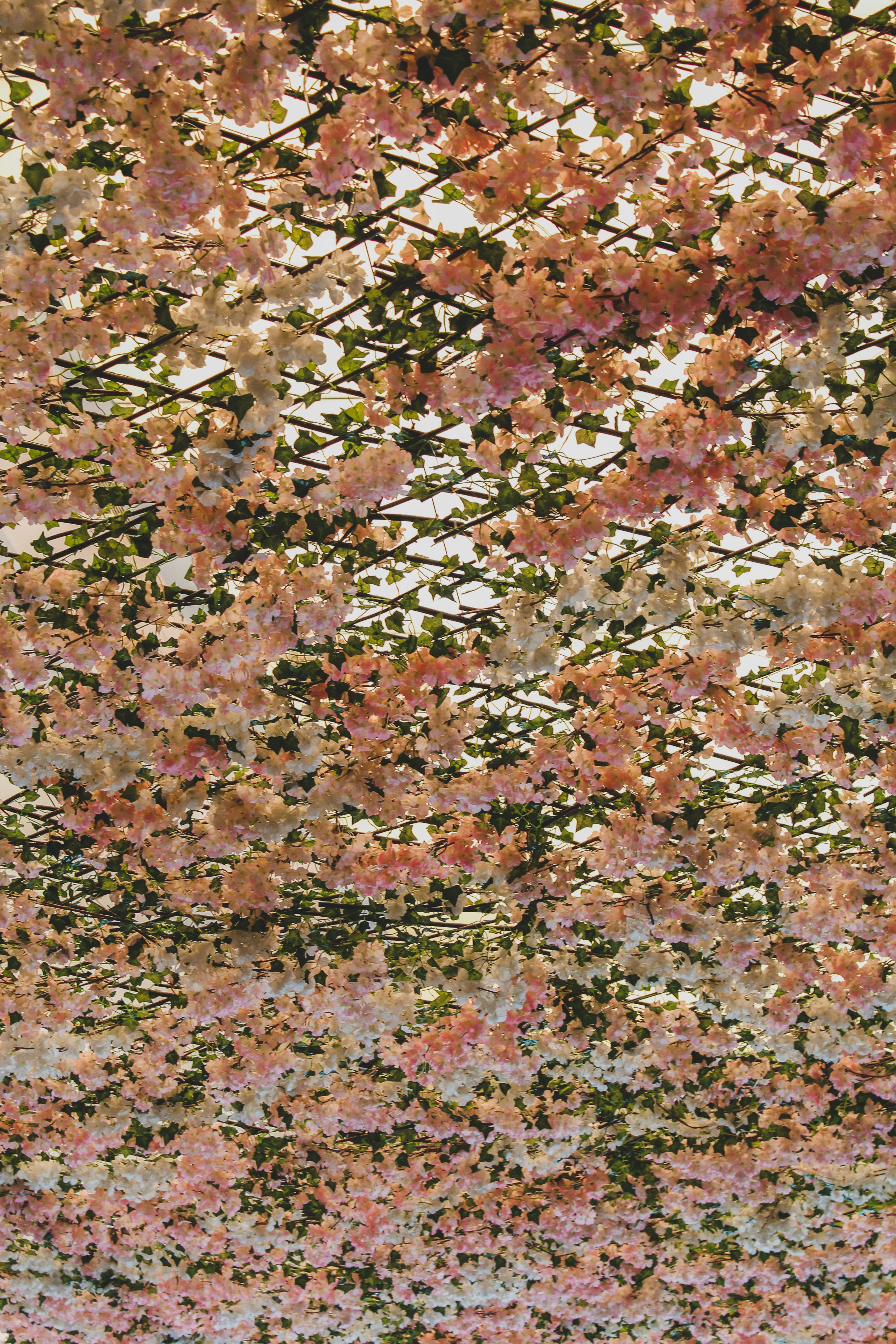 Photo by czapp_arpad