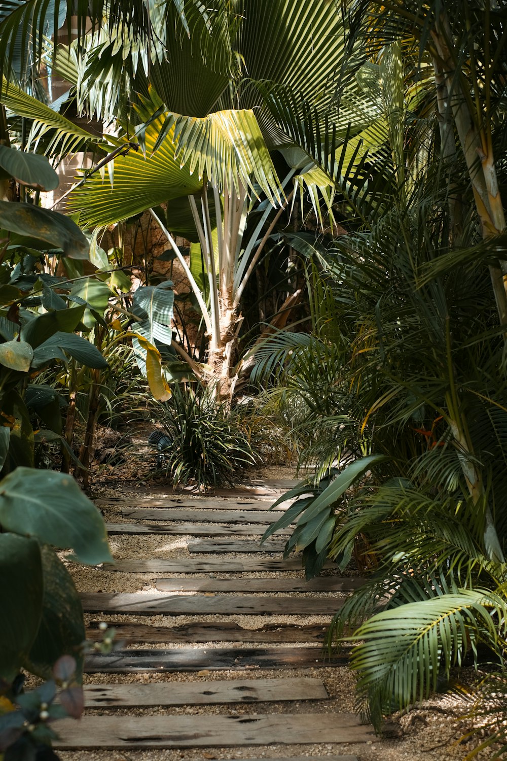 a wooden staircase in a tropical area