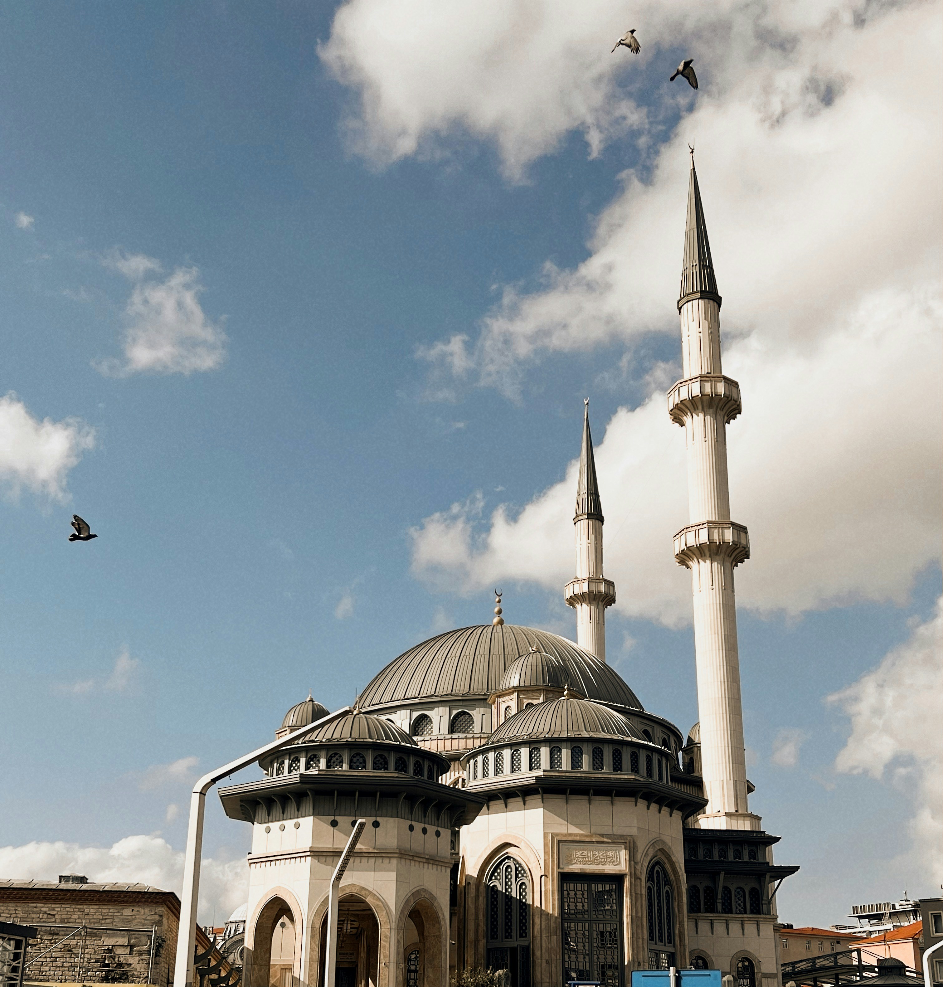 Photo by mehrnazataghavi