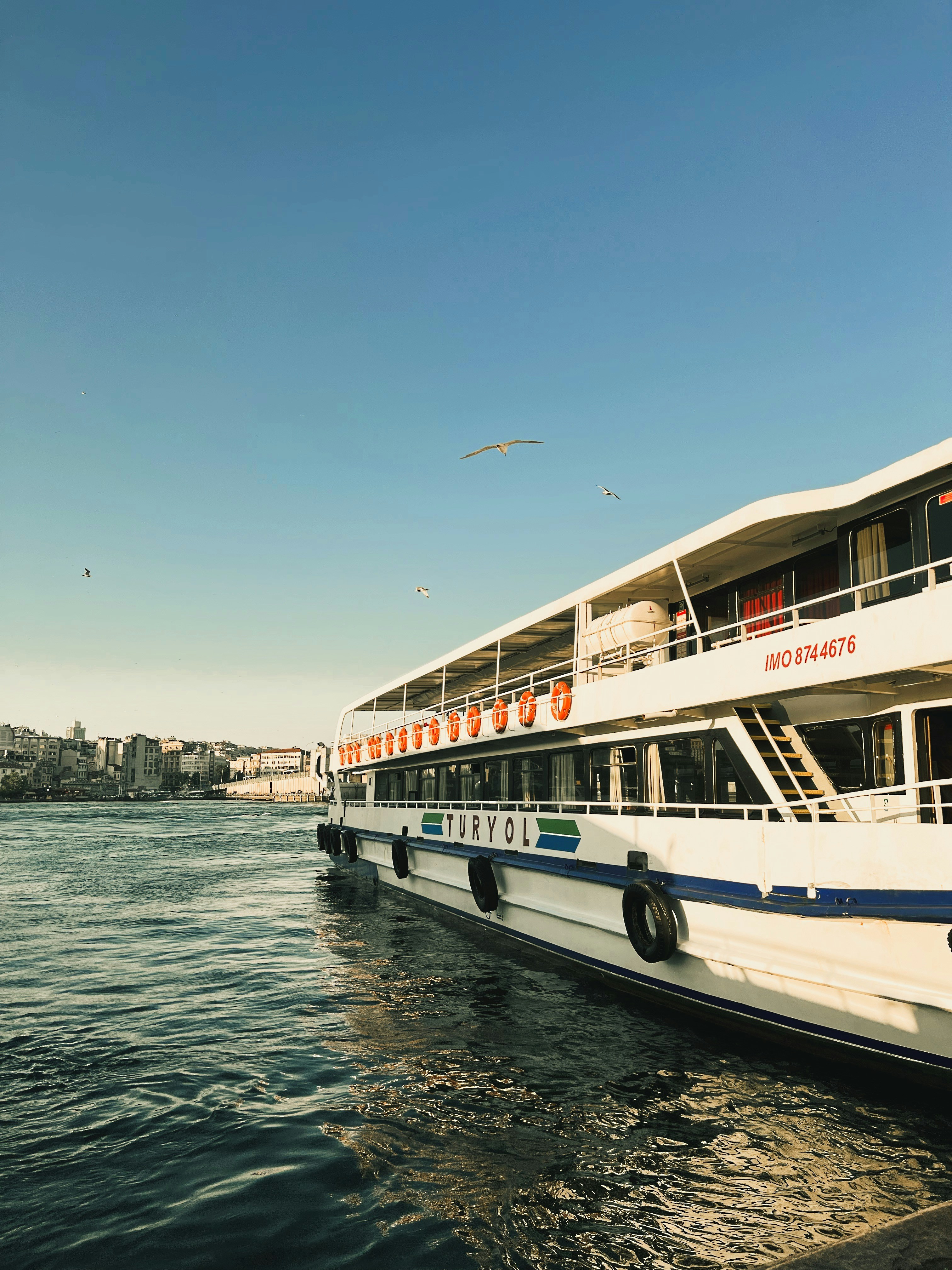 Photo by mehrnazataghavi