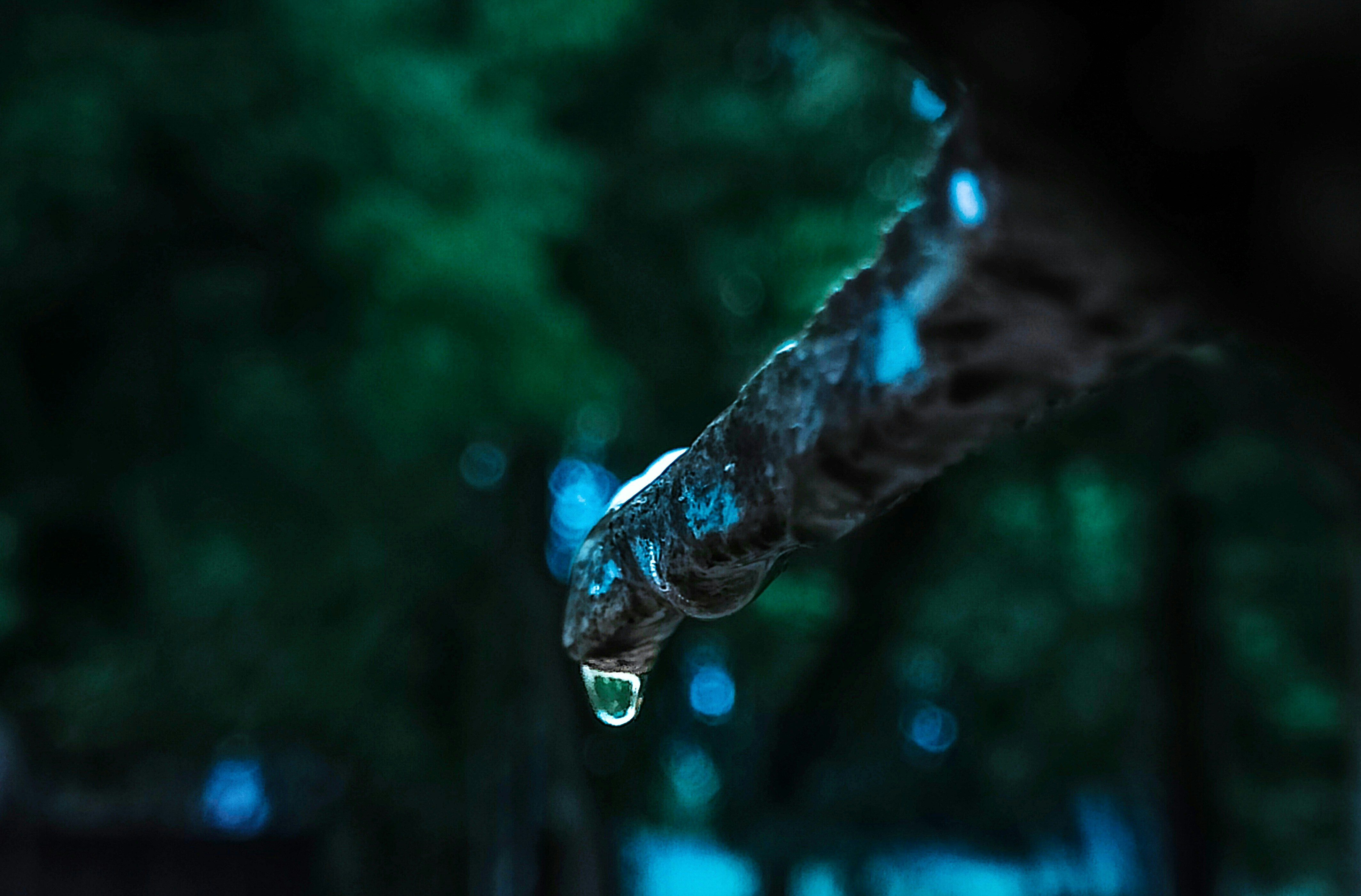 Photo by vikrantsingh__771