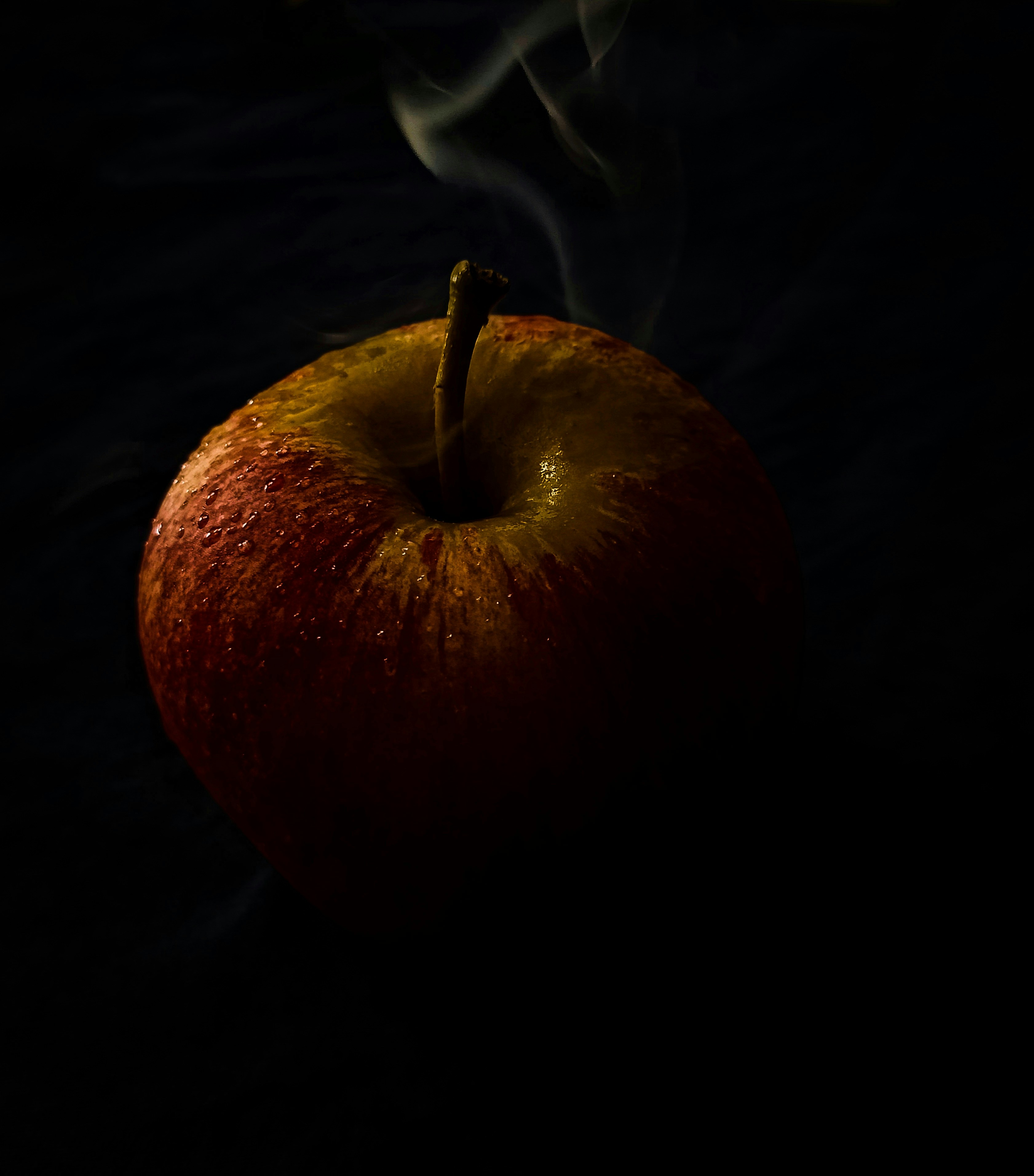 Photo by vikrantsingh__771