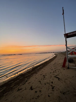 A serene beach wildlife rescue session at sunset on the Aeolian Islands, with attentive learners observing local fauna.