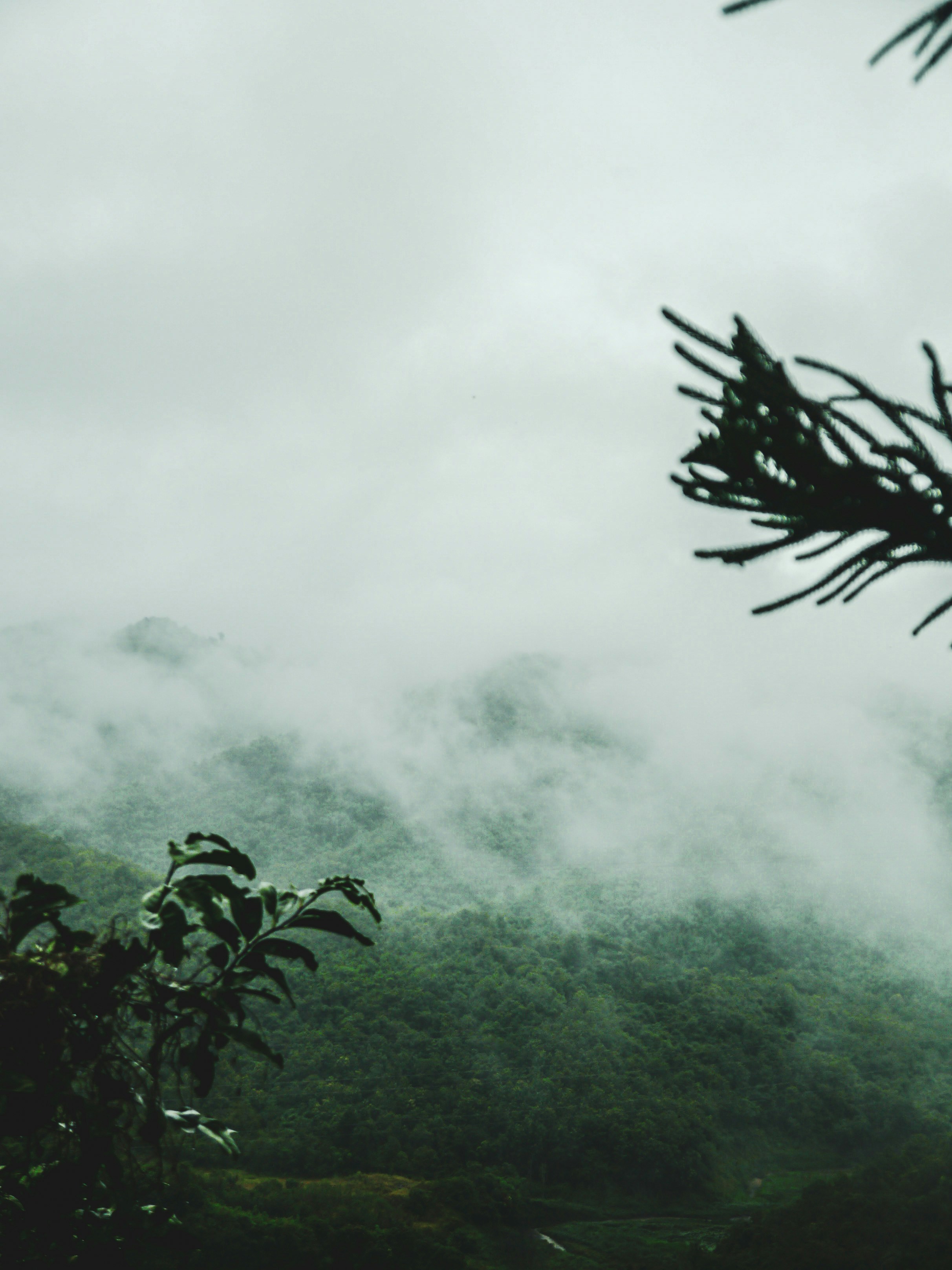 Photo by aimpitcha