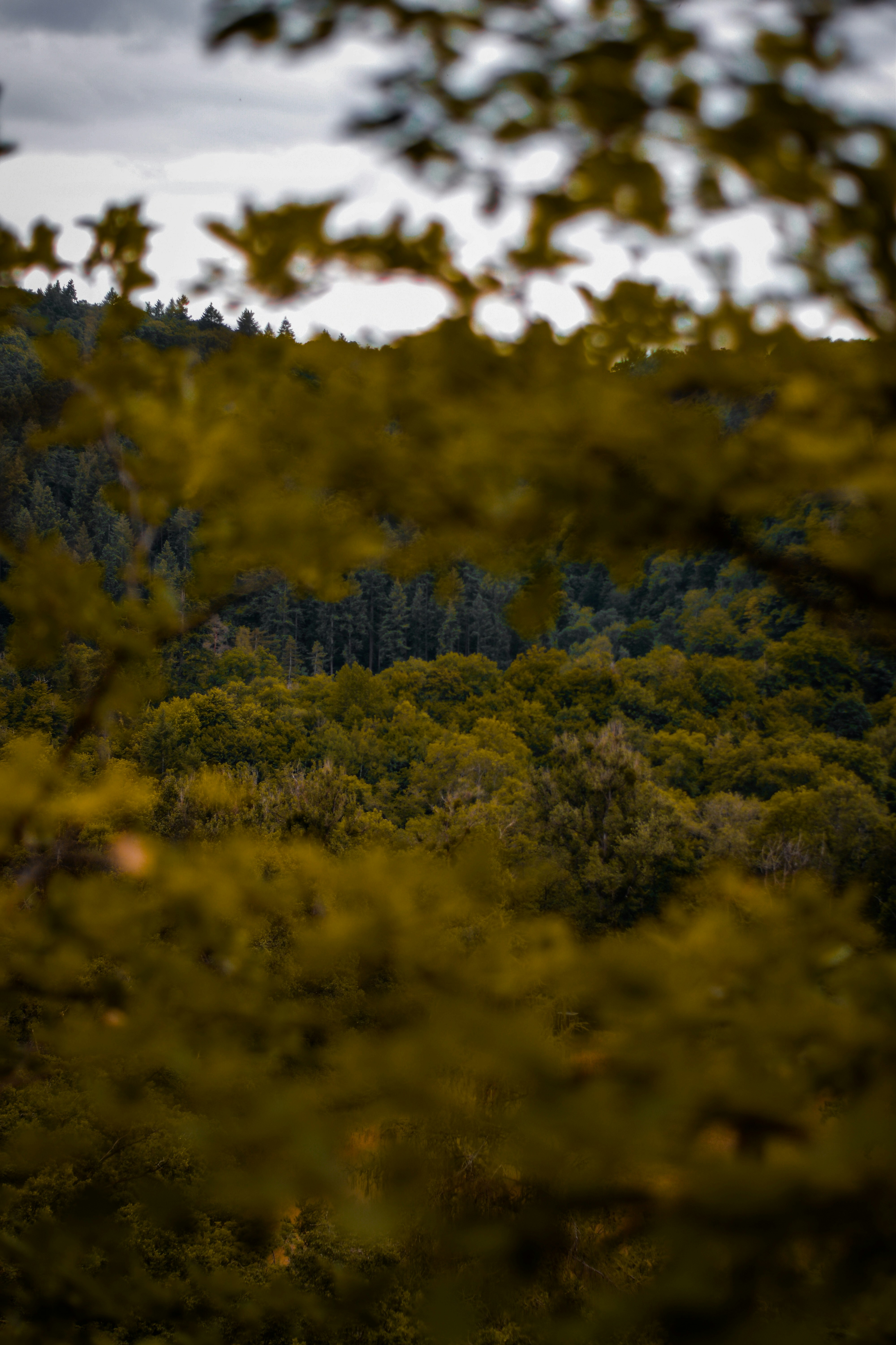 Photo by bkrdg34