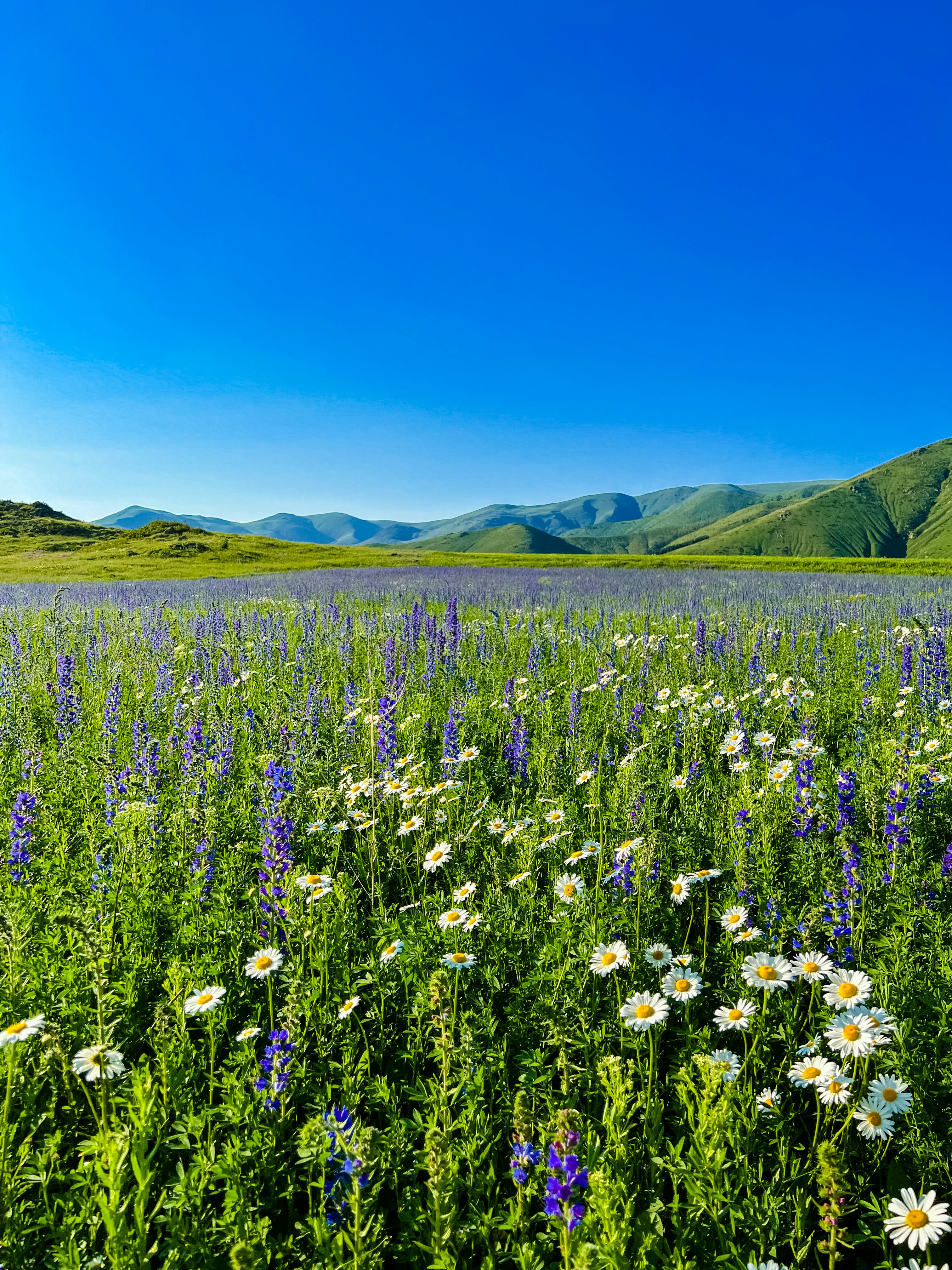 Photo by nazisrayelyan