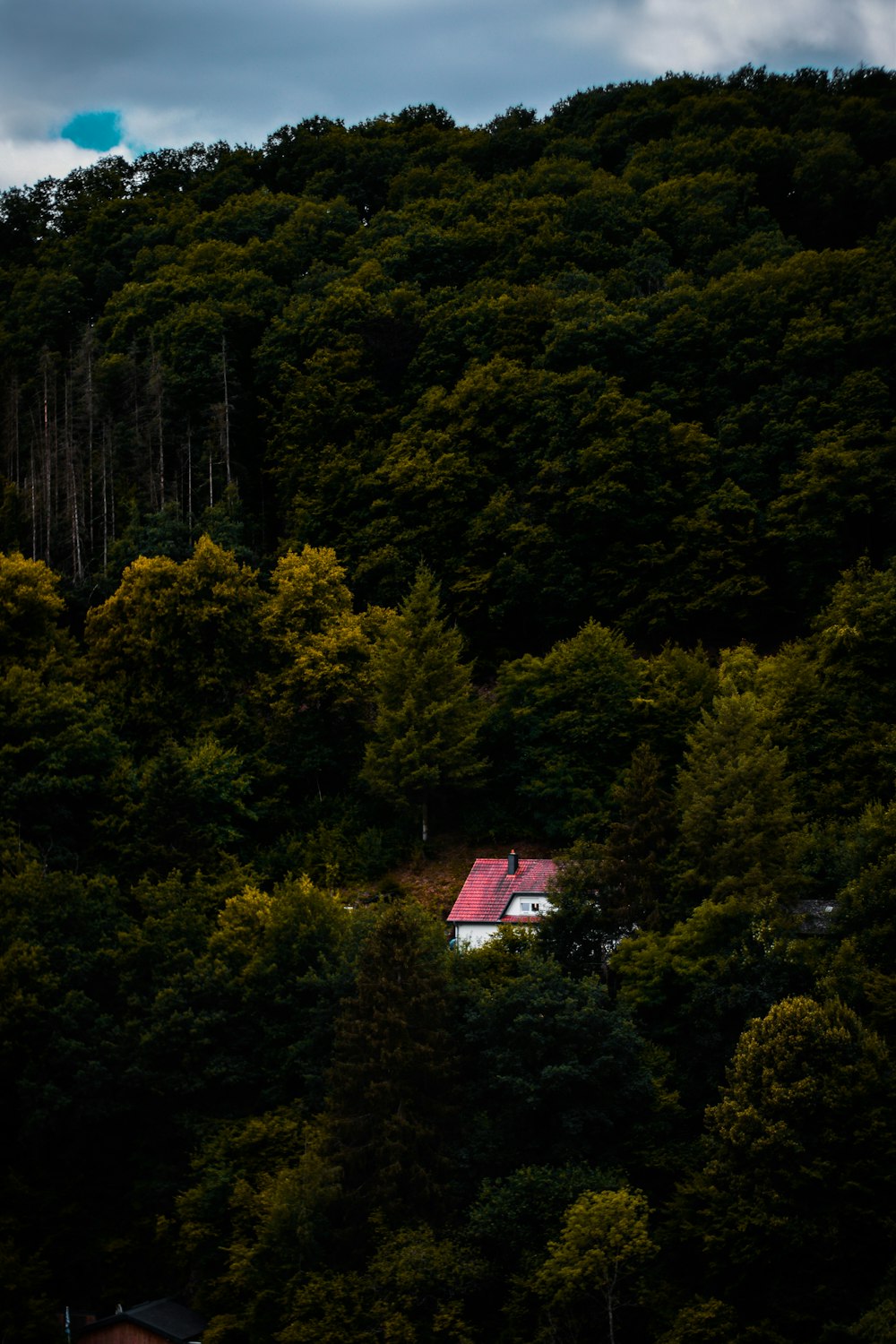 a house surrounded by trees