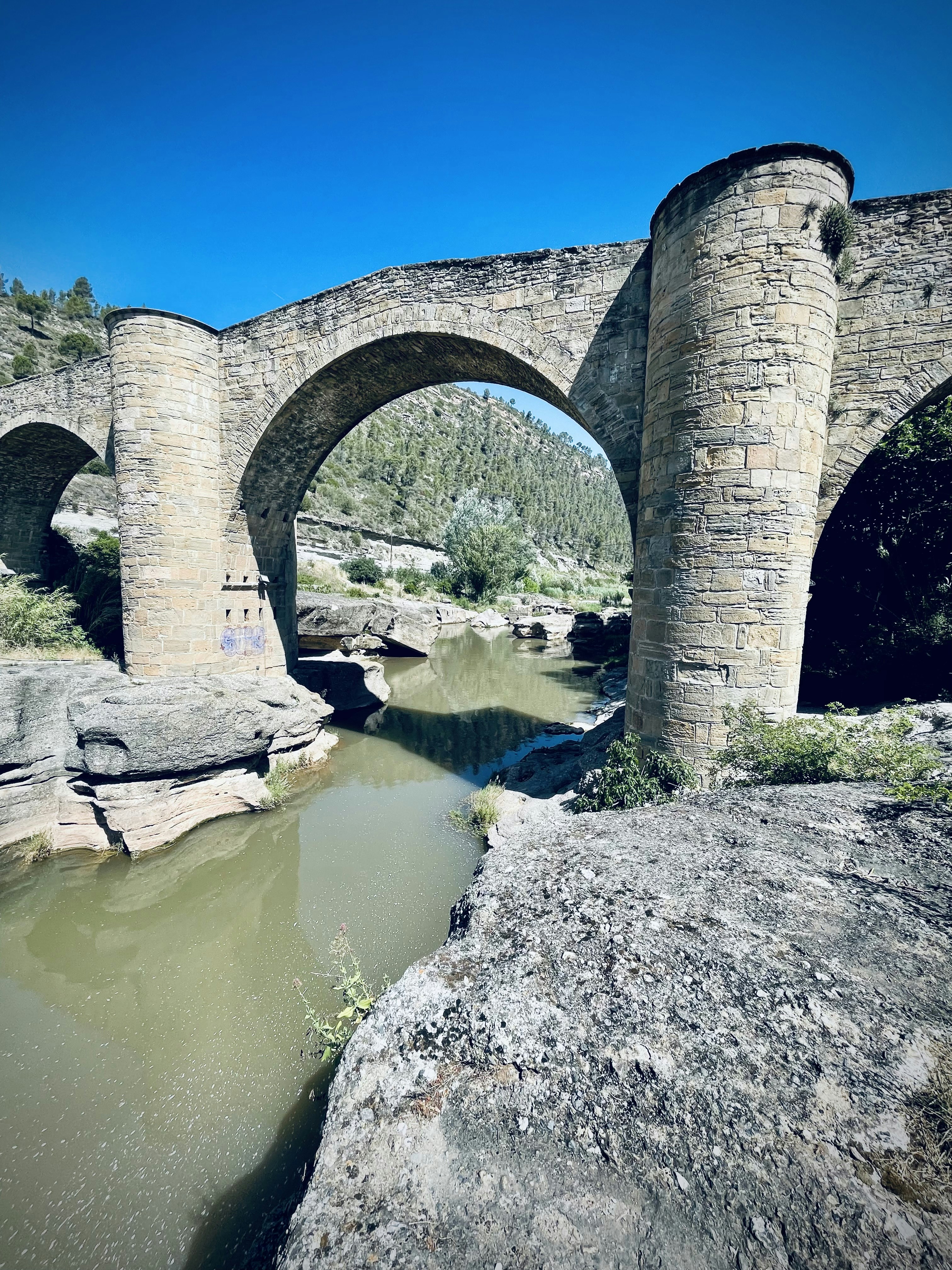 Photo by laianunez14