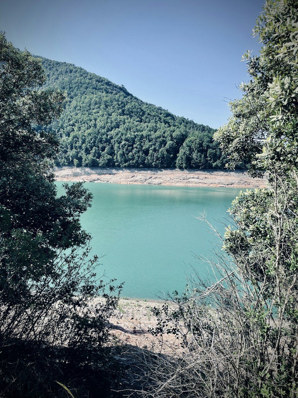 a body of water surrounded by trees