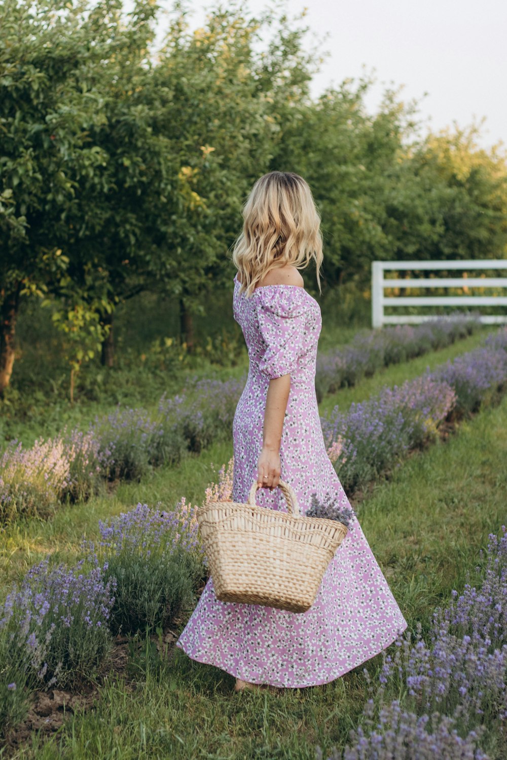 a girl in a dress holding a basket in a field of purple flowers