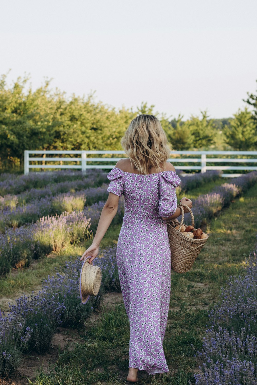 a person walking through a field of flowers