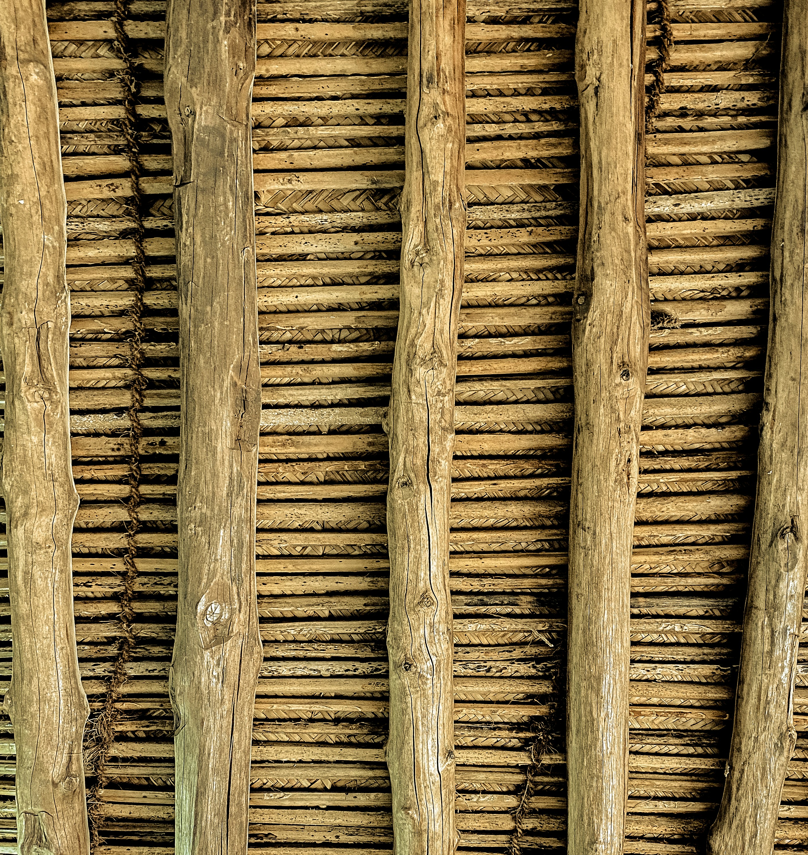 Photo by your_scorpion