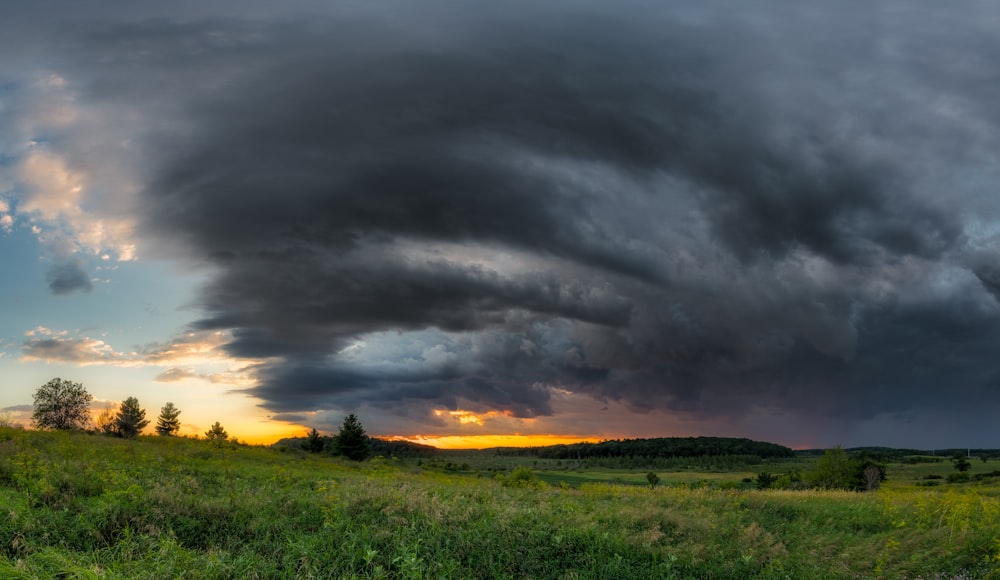 a field with trees and clouds in the sky