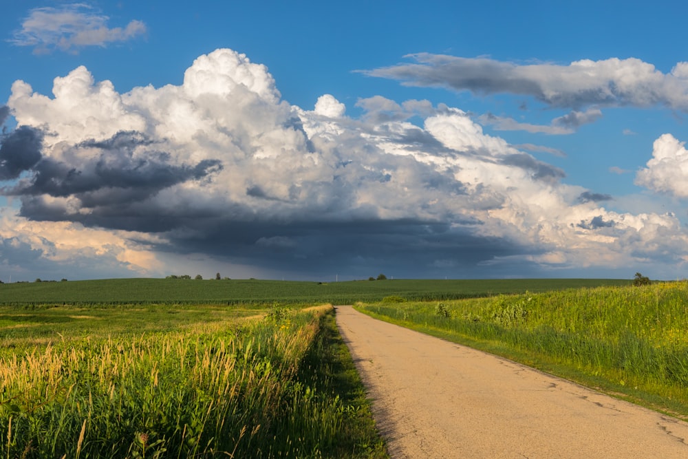 a dirt road through a field