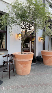An outdoor setting features oversized terracotta plant pots with green trees outside a building. Two wall-mounted lanterns emit warm light. A wooden chair and table are placed nearby, suggesting a casual seating area.