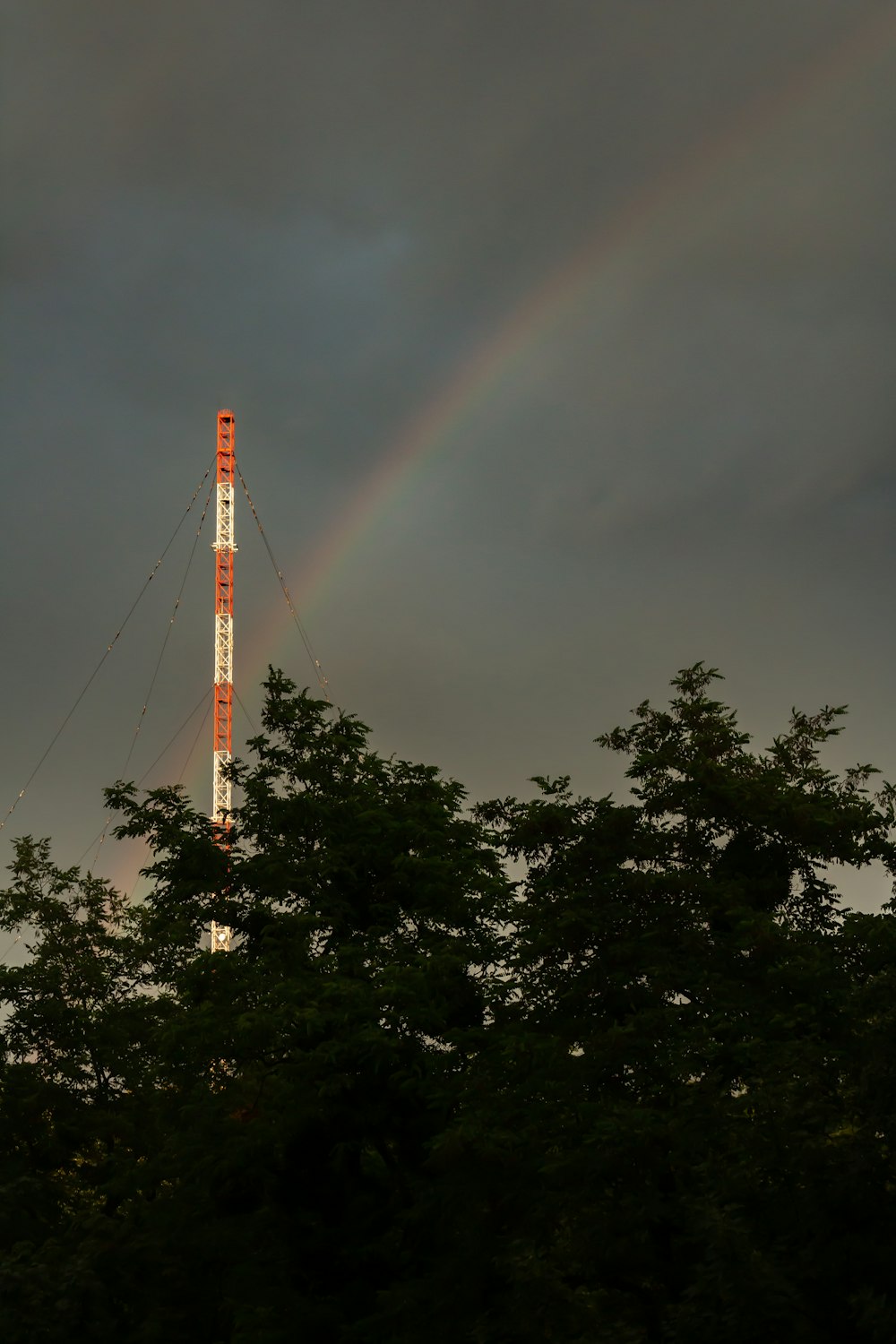 Un arco iris sobre los árboles