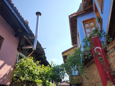 Two traditional houses with wooden features and colorful exteriors are closely situated. One house is blue with white-framed windows, while the other is pink. A Turkish flag hangs on the side of the right house. Lush green vines grow on the buildings, adding a natural element. A metal chimney is visible on the left building's roof. The sky is clear and bright, indicating a sunny day.