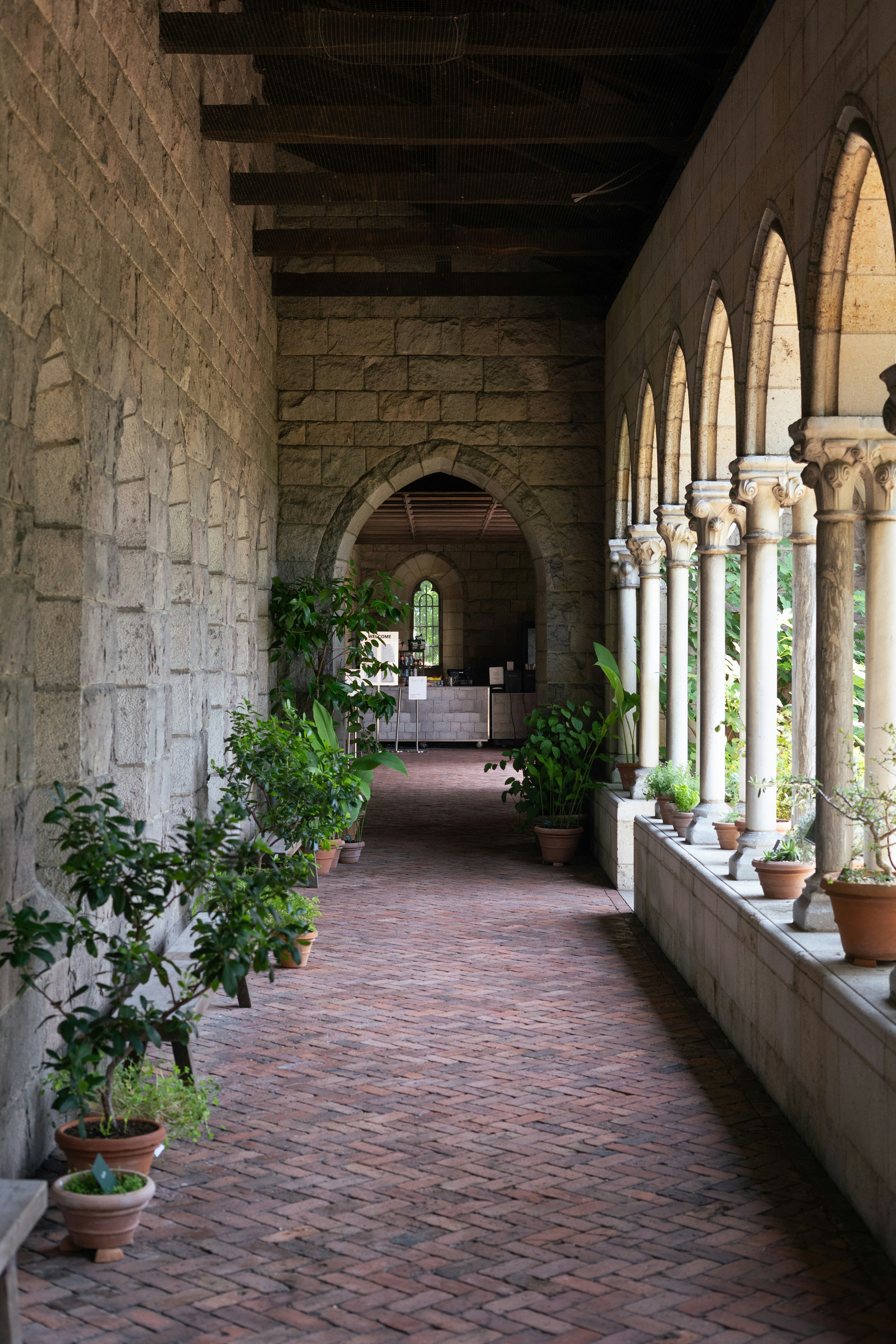 A brick walkway with plants and a building in the background photo ...